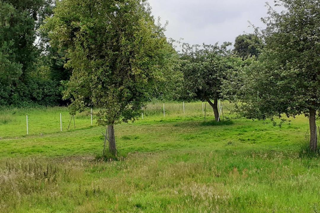 Photo of Others in Le Parcq