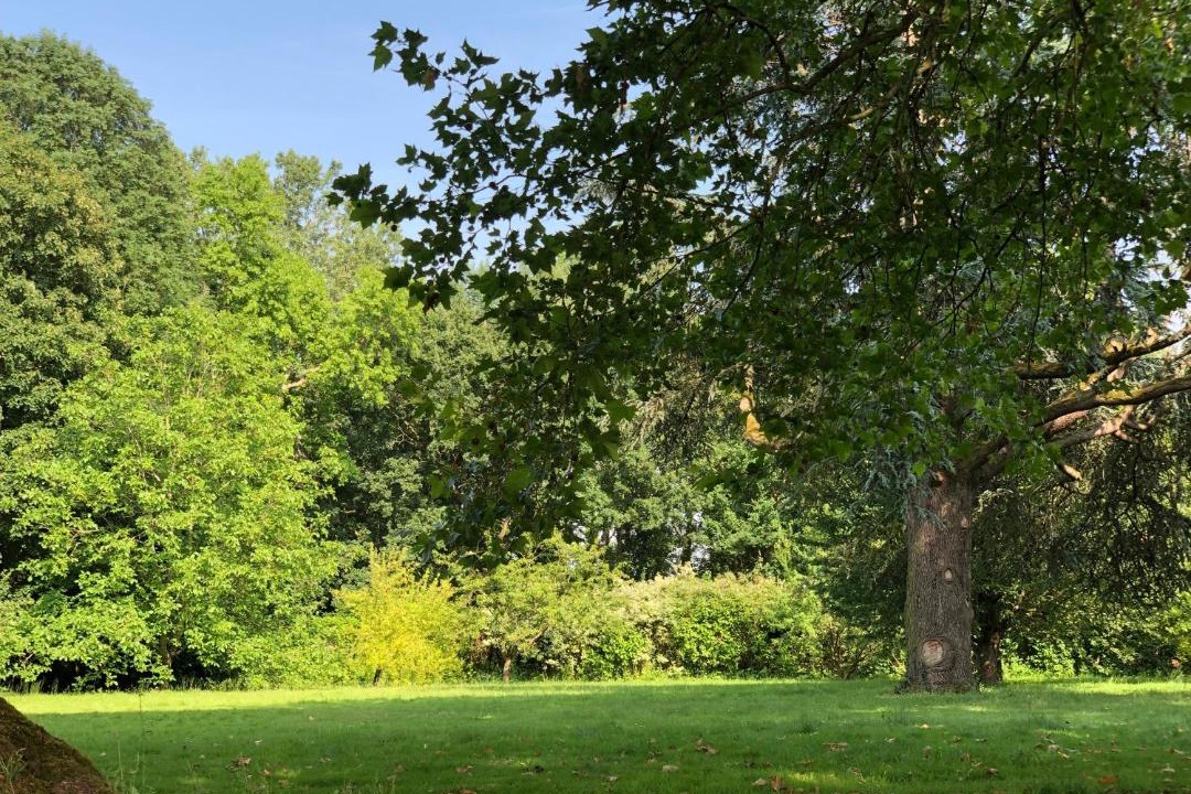 Photo of Others in Forges-les-Bains