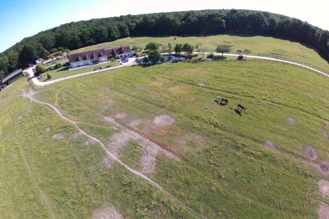 Photo of Others in Langeais