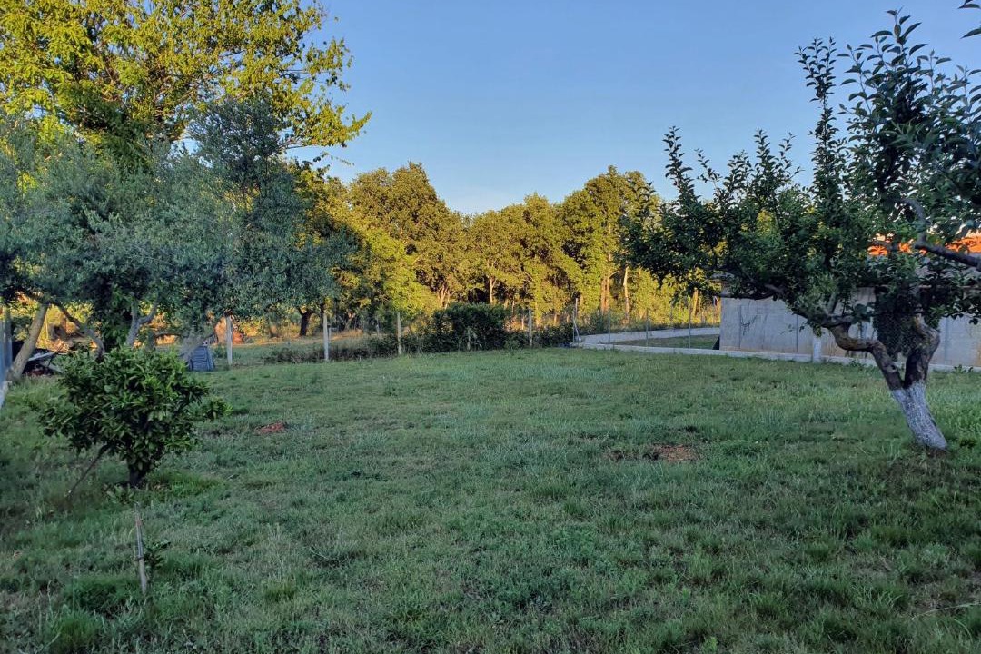 Photo of Outdoor in Medulin