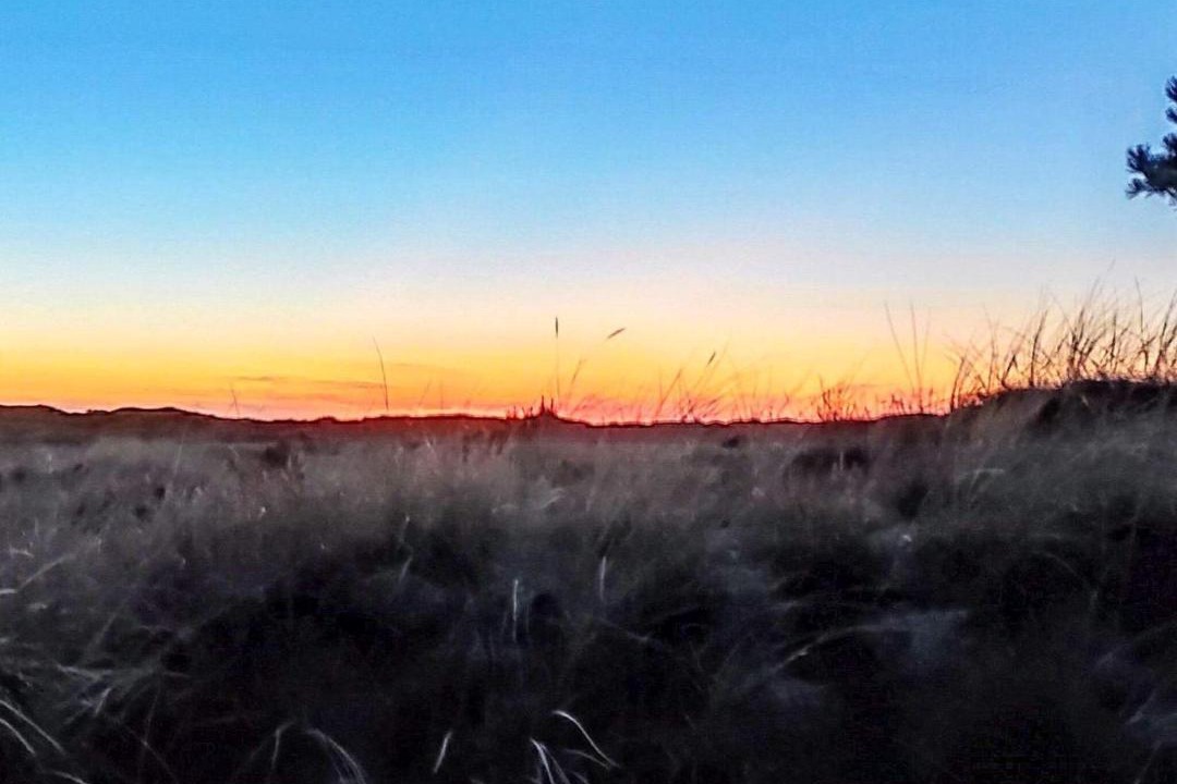 Photo of Others in Rødhus