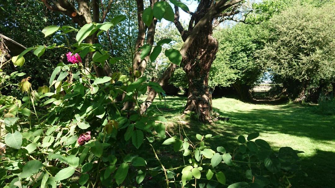 Photo of Others in La Gree-Saint-Laurent