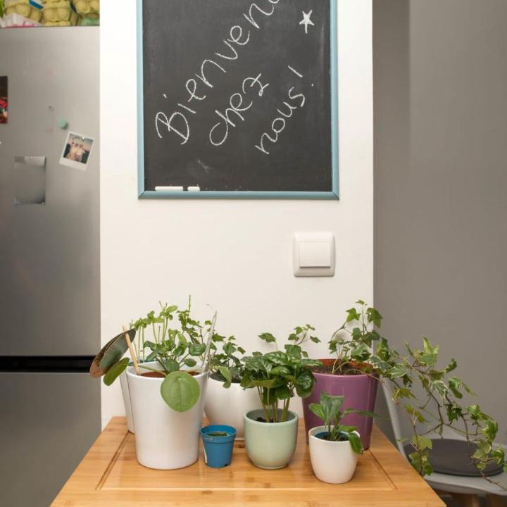 Photo of Others in Poitiers