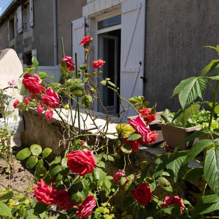 Photo of Others in Poitiers