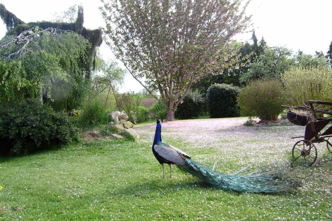 Photo of Others in Eraines