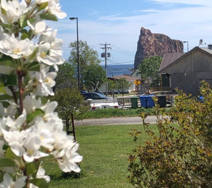 Photo of Others in Perce