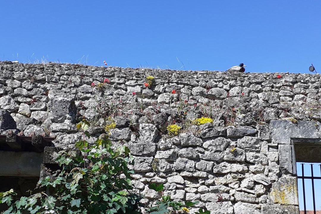 Photo of Others in Chemery