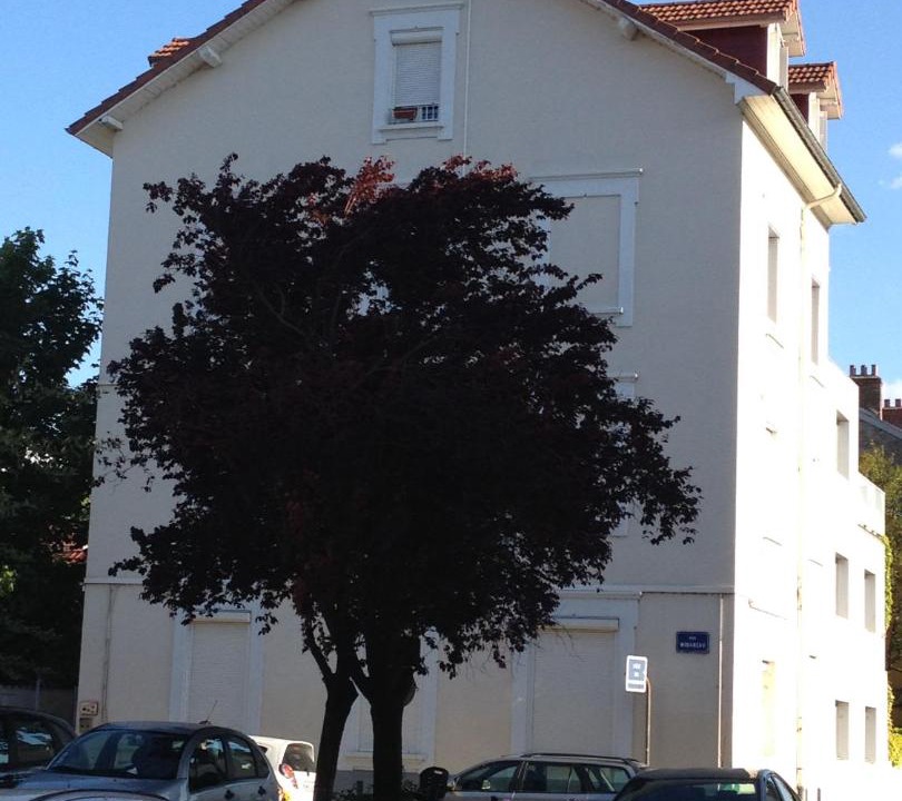 Photo of Buildings in Quartier Chorier-Berriat