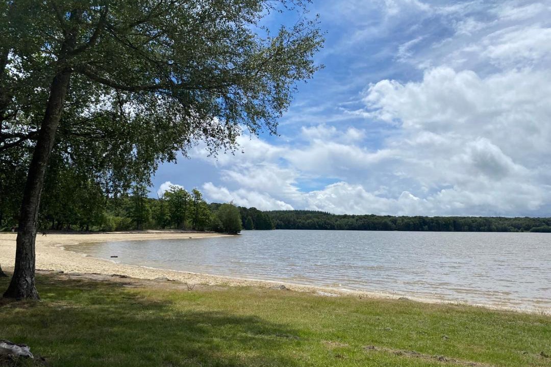 Photo of Others in Sille-le-Guillaume