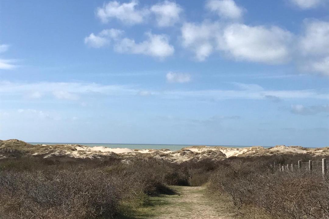 Photo of Others in Merlimont