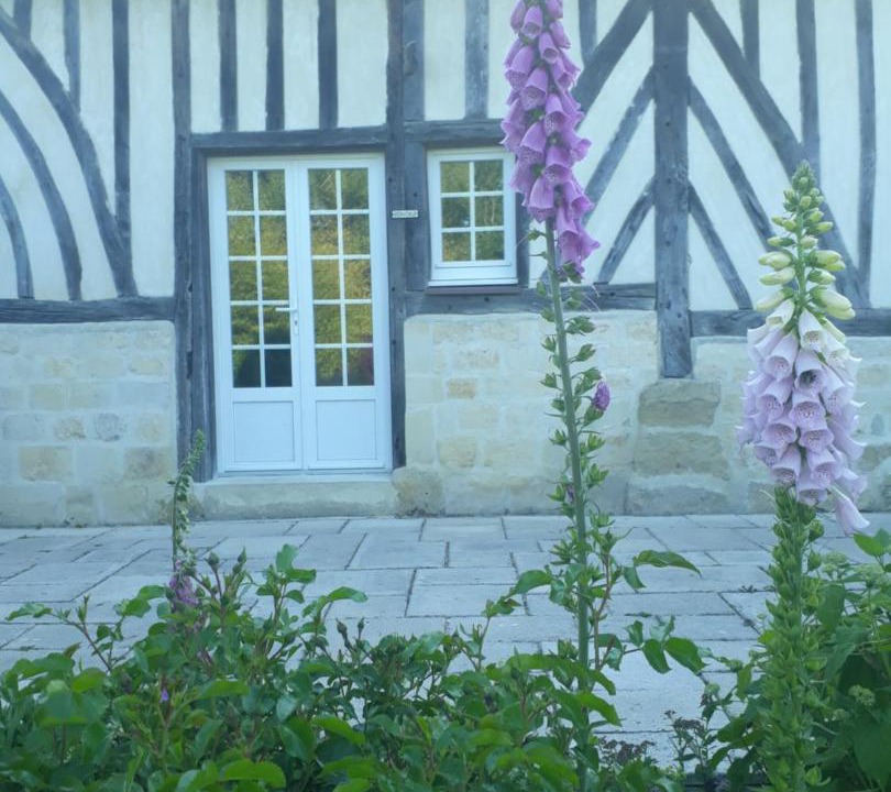 Photo of Others in Cheffreville-Tonnencourt