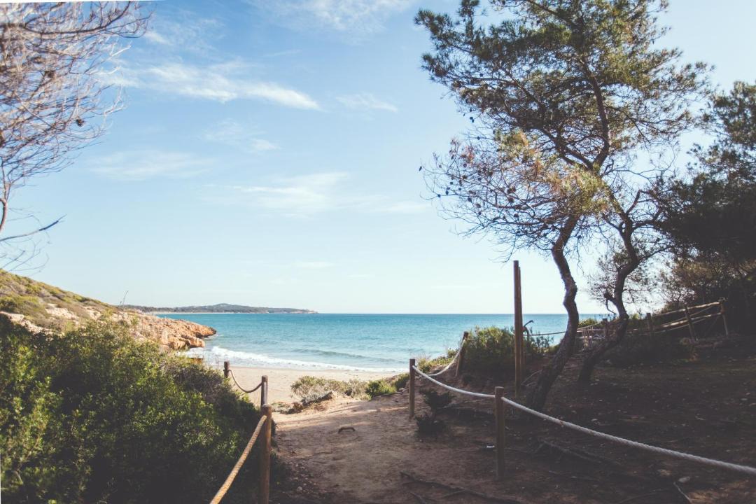Photo of Others in Torredembarra
