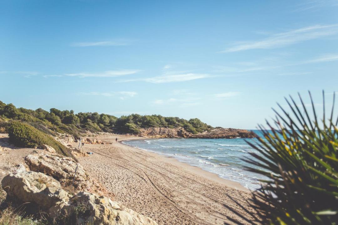 Photo of Others in Torredembarra