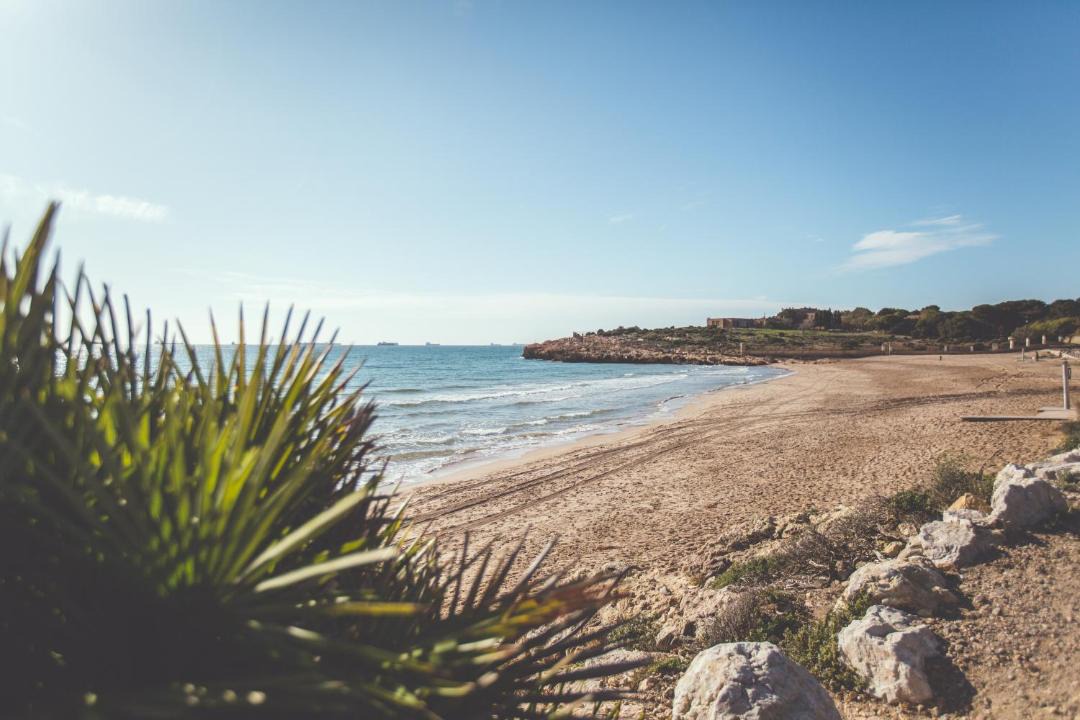 Photo of Others in Torredembarra
