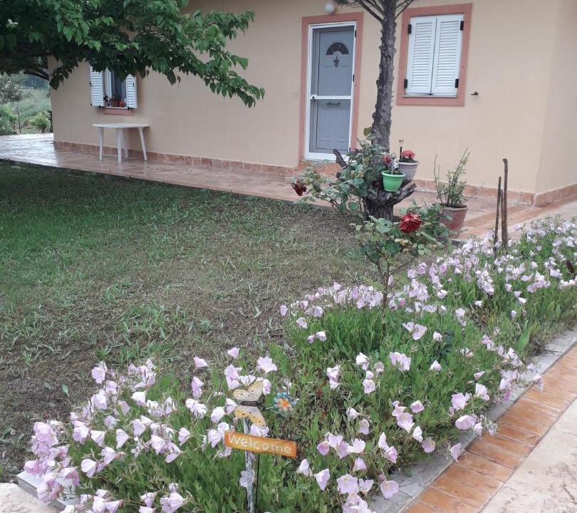 Photo of Buildings in Ag. Georgios