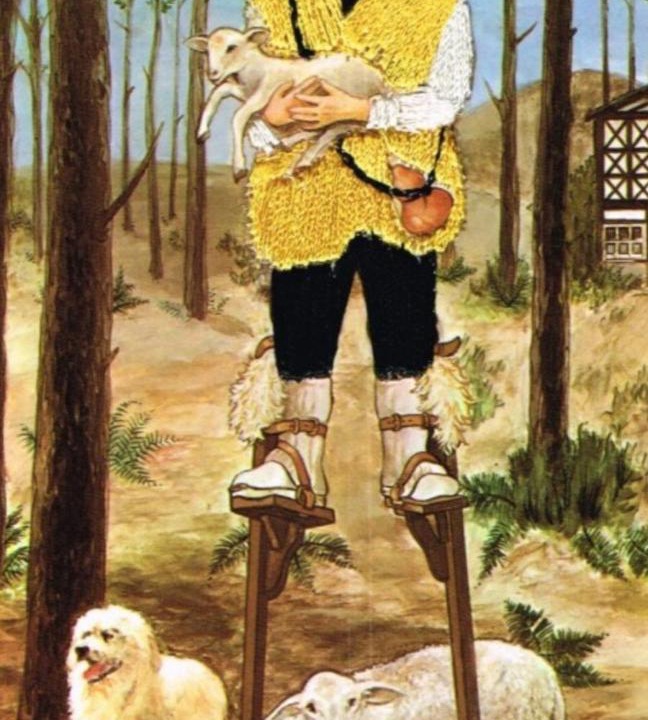 Photo of Others in Gastes