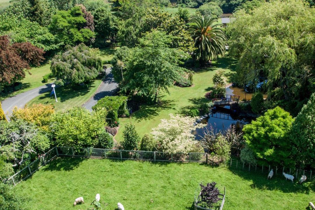 Photo of Others in Pirongia