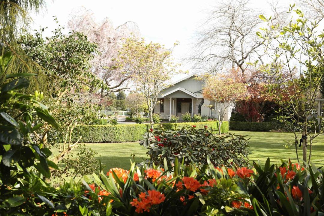 Photo of Others in Pirongia