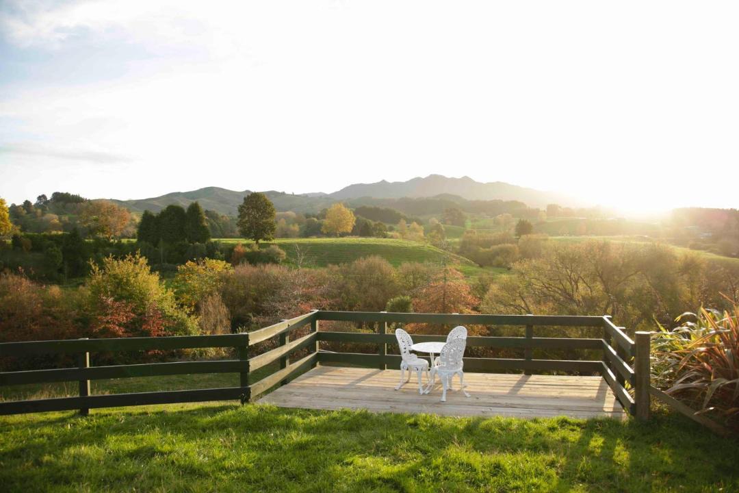 Photo of Others in Pirongia