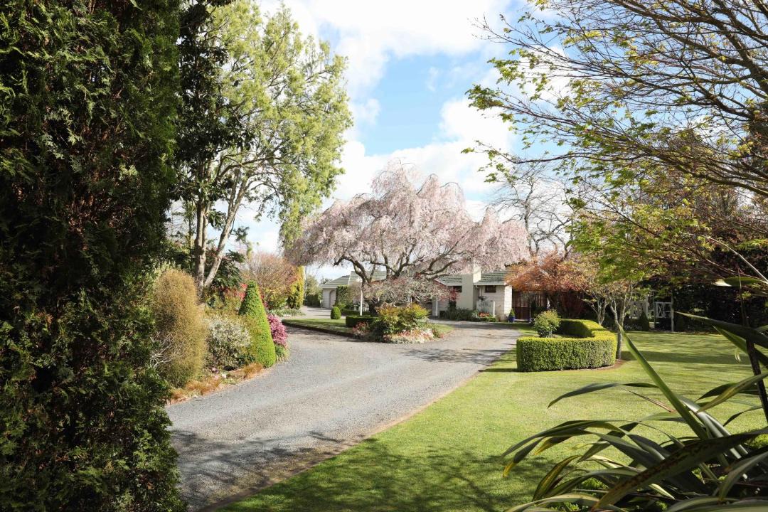 Photo of Others in Pirongia