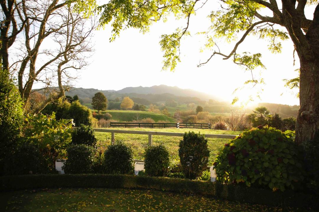 Photo of Others in Pirongia