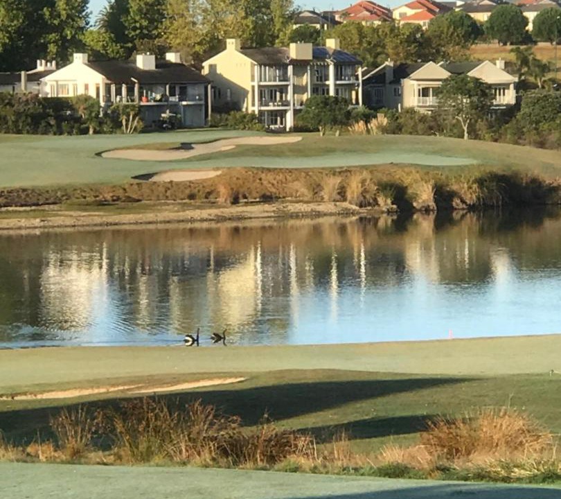 Photo of Others in Gulf Harbour