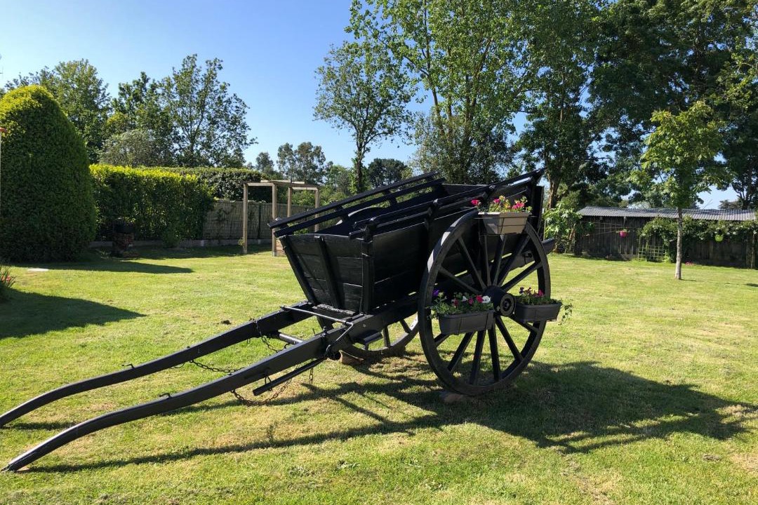 Photo of Others in Commequiers