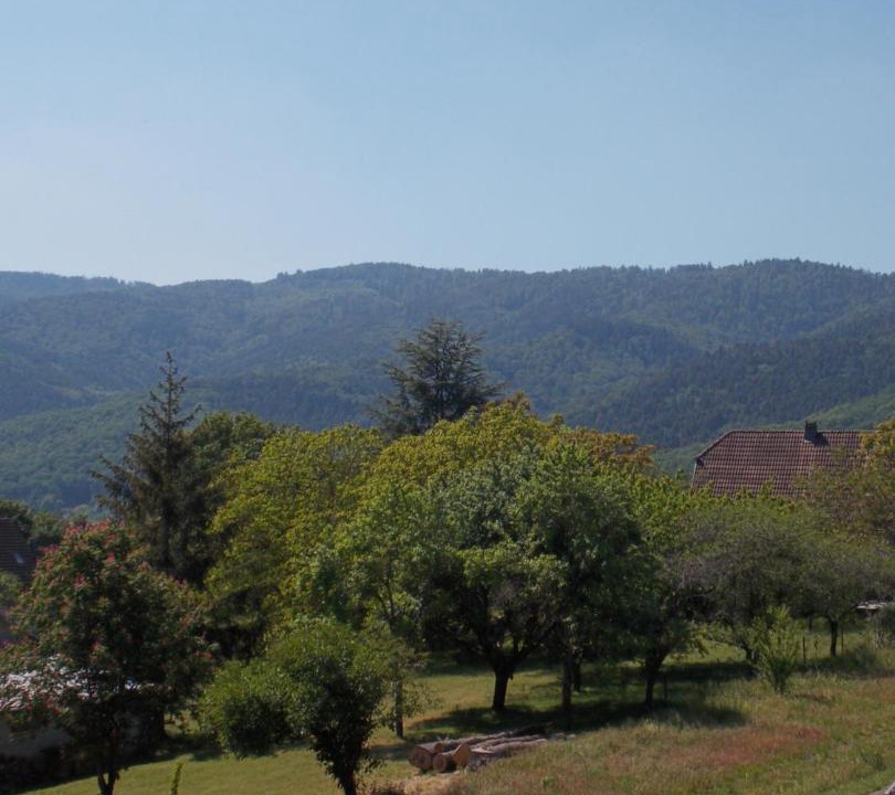 Photo of Others in Osenbach