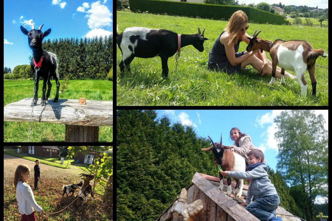 Photo of Others in Plombieres-les-Bains