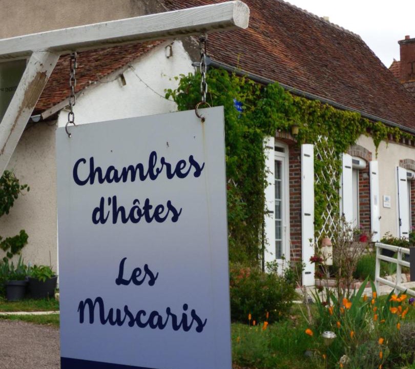 Photo of Others in Feins-en-Gatinais