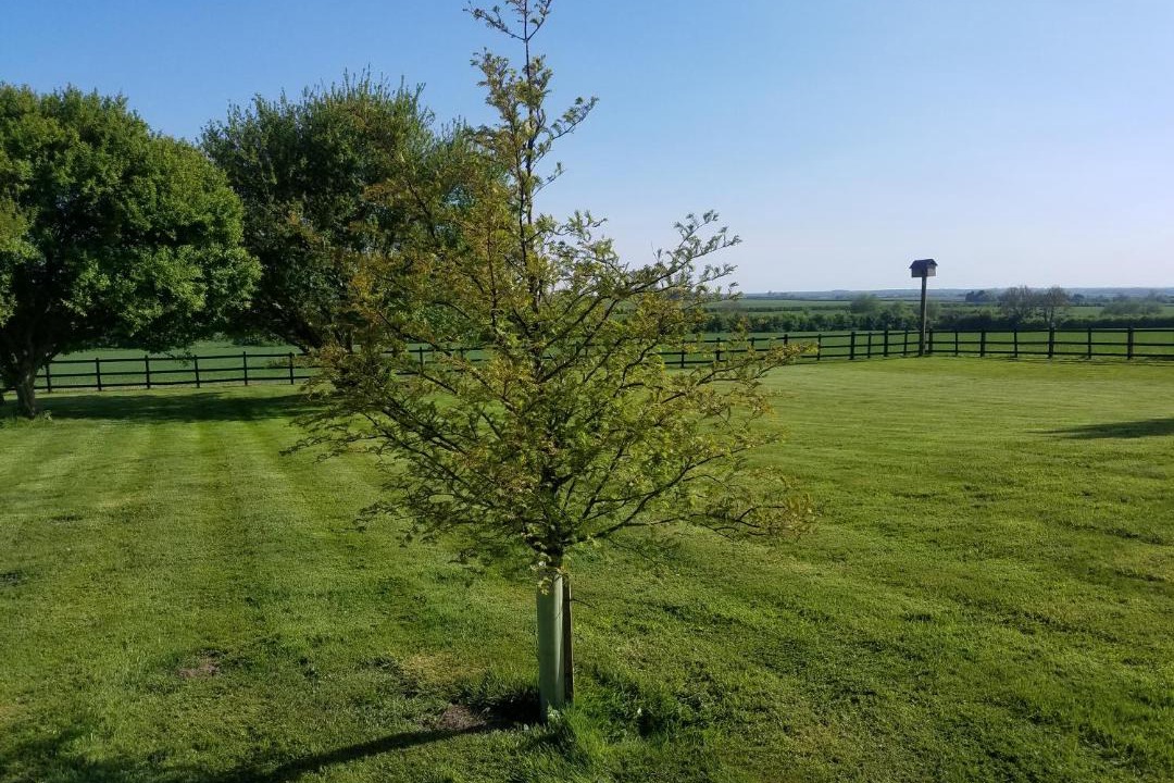 Photo of Outdoor in Horncastle