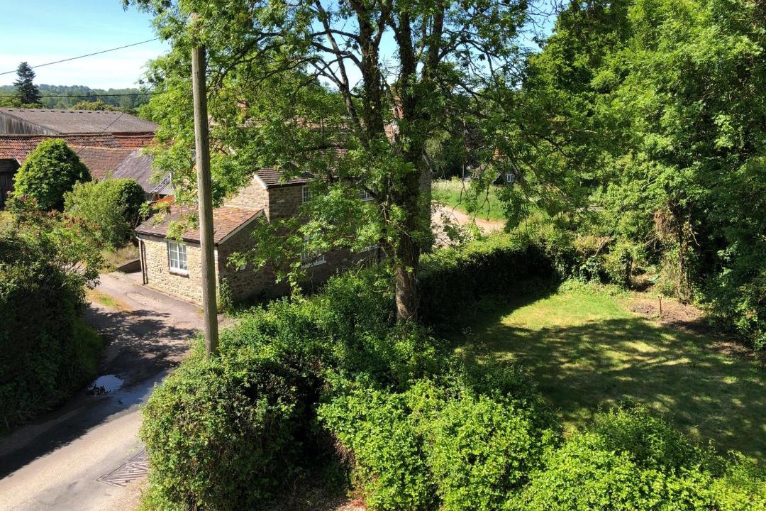 Photo of Others in Melbury Osmond