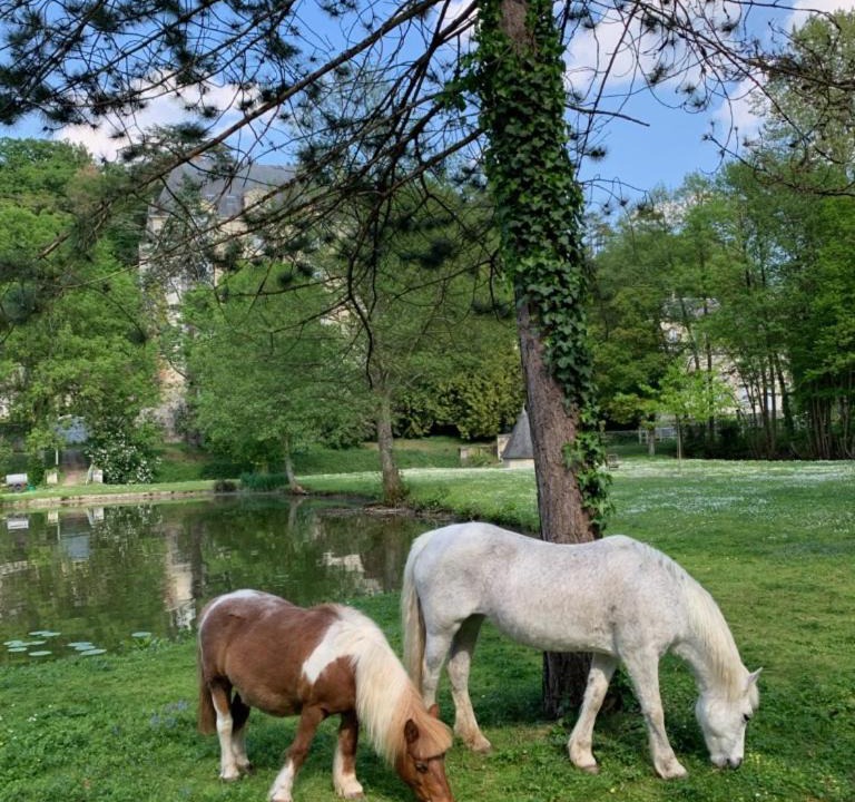 Photo of Others in Saint-Paterne-Racan