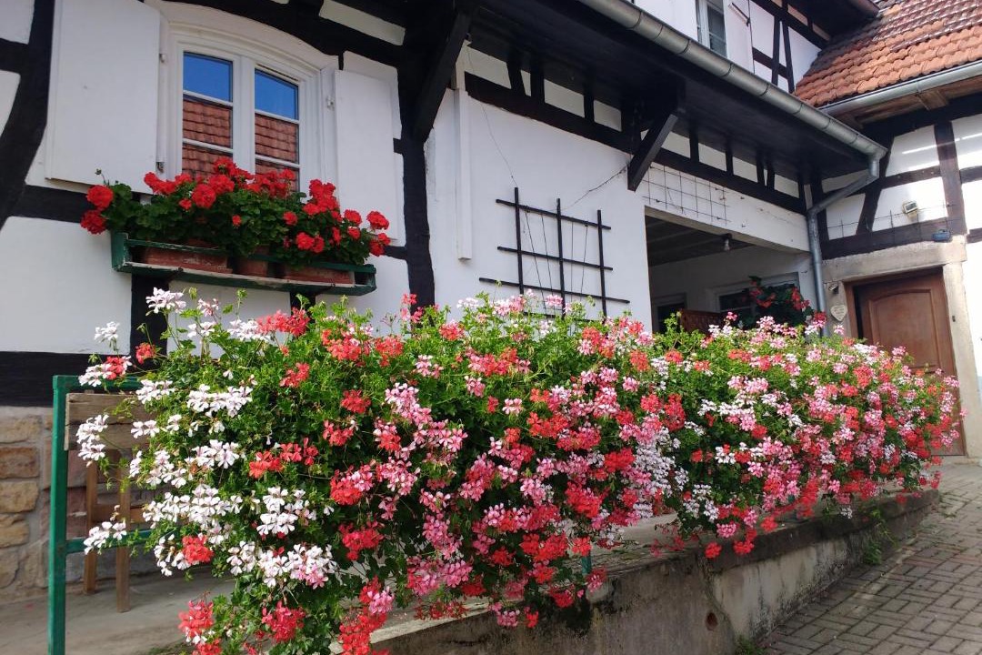 Photo of Others in Hunspach