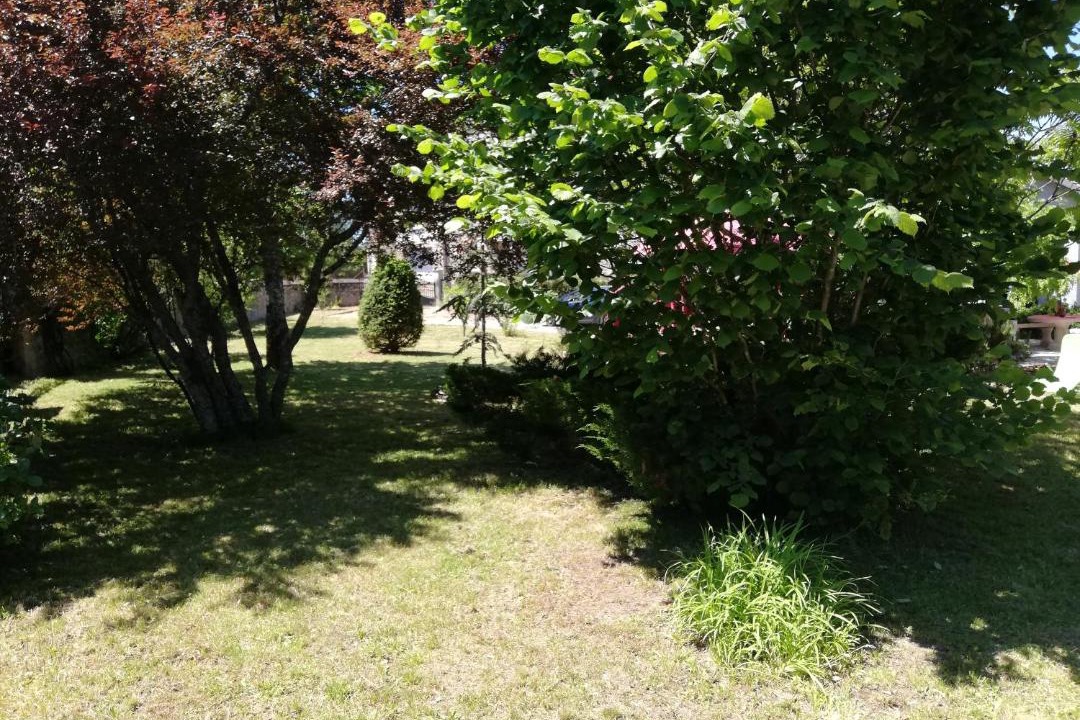 Photo of Outdoor in Marcillac-la-Croisille