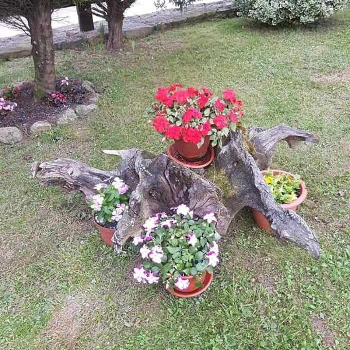 Photo of Others in Villacarriedo