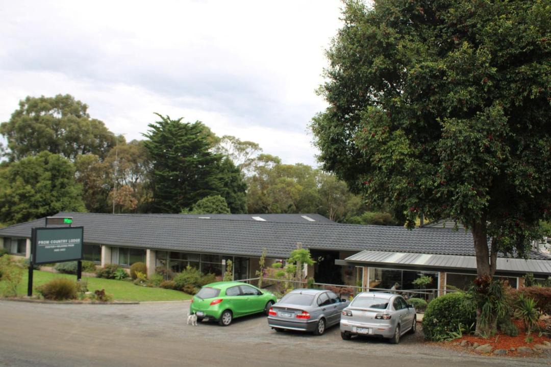 Photo of Others in Foster