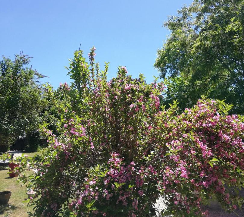 Photo of Outdoor in Marcillac-la-Croisille