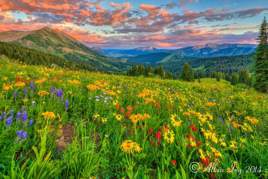 Photo of Others in Gunnison