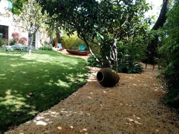 Photo of Others in Saint-Mamert-du-Gard