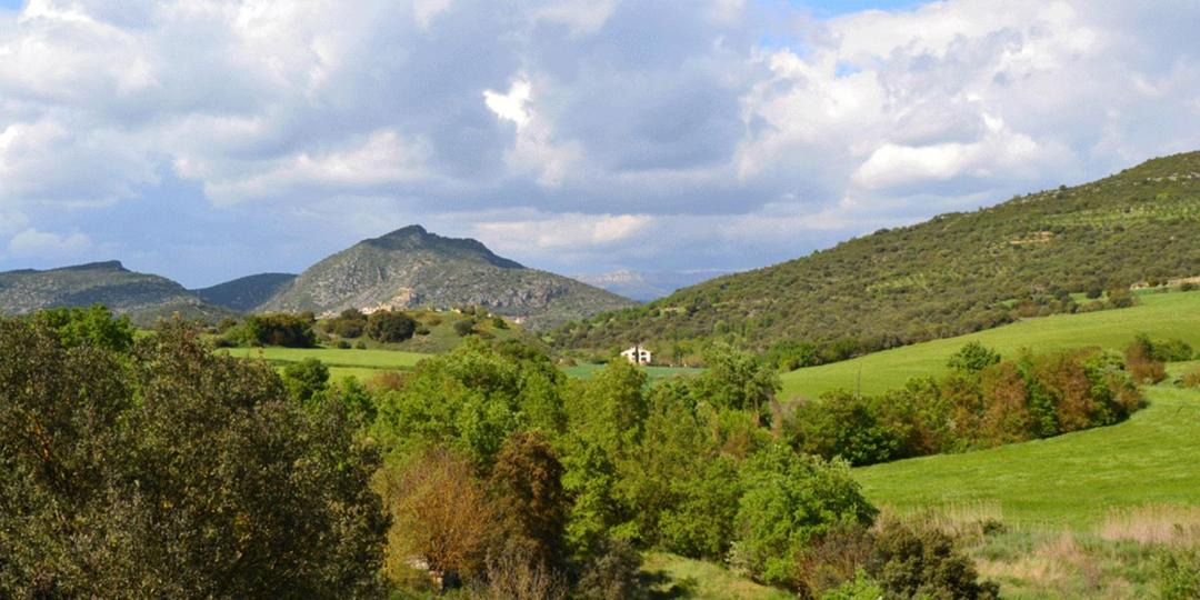Photo of Others in Les Avellanes I Santa Linya