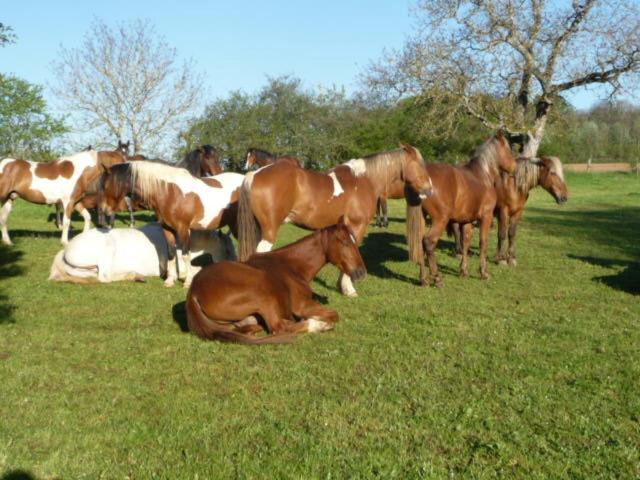 Photo of Others in Grancey-le-Chateau-Neuvelle