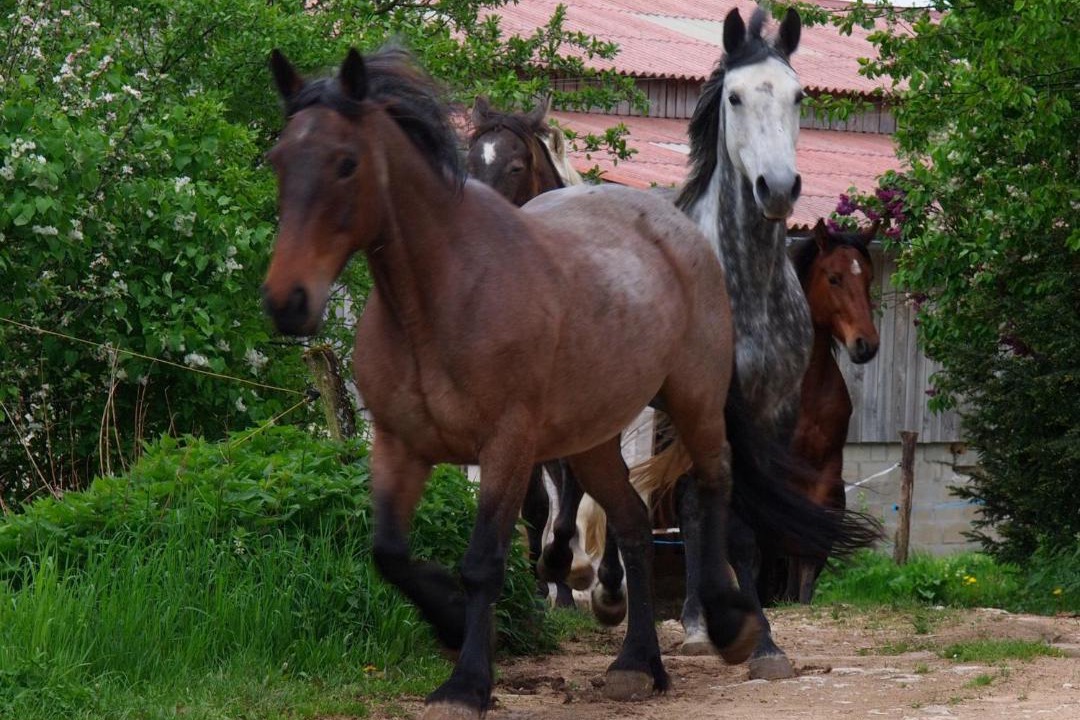 Photo of Others in Grancey-le-Chateau-Neuvelle