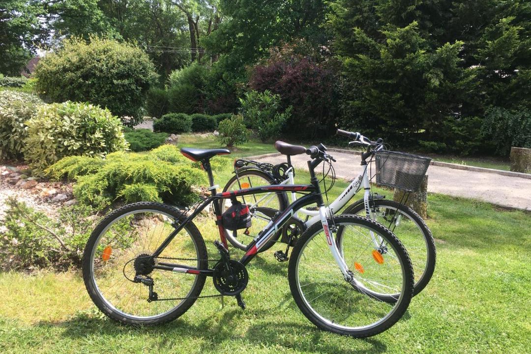 Photo of Others in Manou