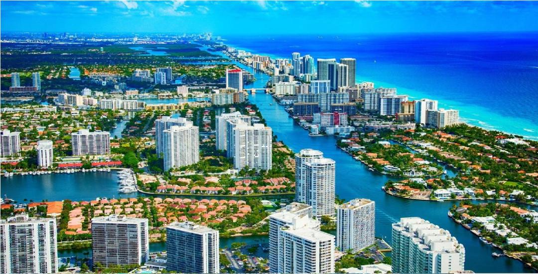 Photo of Others in Hallandale Beach