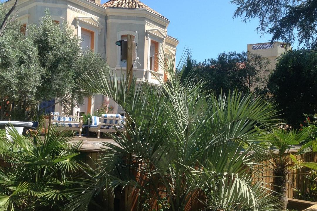 Photo of Buildings in Hyeres City Centre