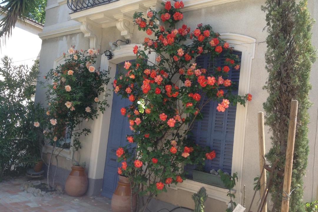 Photo of Others in Hyeres City Centre