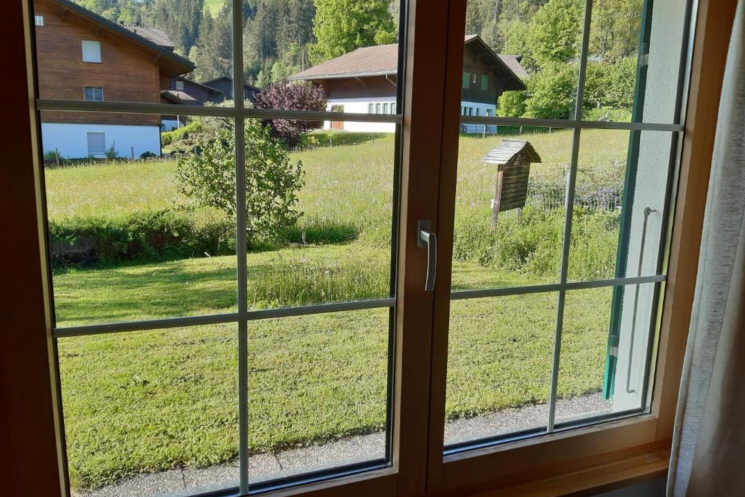 Photo of Others in Lenk