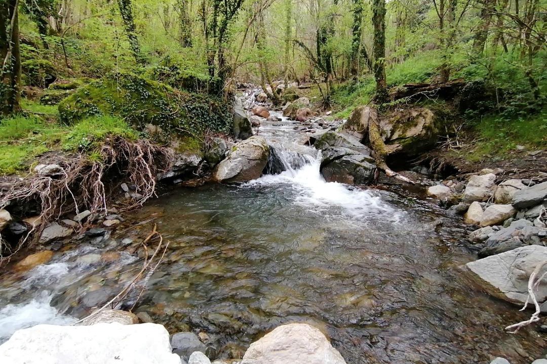 Photo of Others in Vilallonga de Ter
