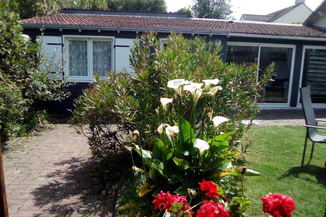 Photo of Buildings in Pornic